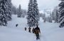 Snowshoe tour on Schliersee with zipflbob ride