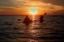 Sunset Bioluminescence Kayak Tour - Wildlife Refuge (Titusville)
