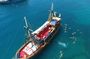 Pirate Ship Cruise with Food and Swimming Stops in Alanya