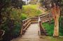 Fascinating Nature Tour Incl Ebony Forest, 7 Coloured Earth, Lunch