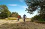 Etna in MTB Half day small group