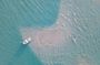Group Reef, Beach and Sandbar Tour from Providenciales