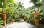 Barbados Nature Tour: Flower Forest, Gully & Monkeys