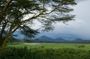 Lake Naivasha Boat Ride and Crescent Island Walking Guided Safari