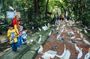 Kuala Lumpur Bird park & Butterfly Farm Tour Include Tickets