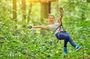 High Ropes and Adventure Tree Top Experience