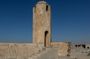 Historical Tour of Northern Qatar + Experiencing Local Cuisine