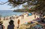Sydney Shores and Suburbs- Watsons Bay and Bondi Beach Tour