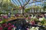 Lincoln Park Zoo & Nature Museum Private Tour