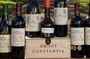 Kirstenbosch Botanical Gardens and Constantia Wine Tasting