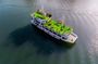 From Cat Ba: Small Group, Lan Ha, Ha Long Bay- Kayaking Tours