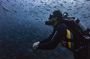Scuba Diving