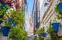 Cordoba Day Trip : A Journey Through History from Malaga