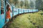 The World`s Most Beautiful Train Trip Kandy to Ella Private Day Tour