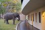 Hwange National Park Full Day from Victoria Falls