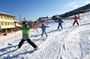 Private ski lesson for family or group(Transport included )