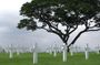 Normandy D-Day Landing Beaches Small-Group Day Trip from Paris