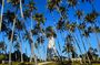 2 Nights 3 Days Tour from Colombo, Sri Lanka