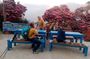 Private 4 Day Poon Hill Trek from Pokhara
