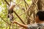 Jaco’s Wild Morning: Monkeys, Crocodiles and Local Flavors