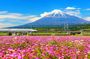 Mt. Fuji, Lake Kawaguchi & Lake Yamanaka Onsen Day Tour