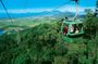 Cairns: Army Duck, Wildlife & Skyrail Rainforest Tour