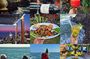 Authentic tour San Diego >little italy>la jewel cove>>fat tacos