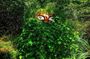 Private Anima Garden & Andre Heller Art and Ourika valley Lunch