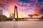 Romantic Rotterdam Private Walking Tour: Iconic City Highlights
