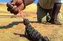 Living Dunes Experience from Swakopmund