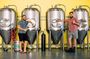 Craft Beer Excellence: Sunshine Coast Private Brewery Tour
