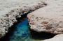 Ras Mohammed National Park Day Trip by Bus