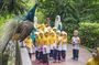 Bird Park & Butterfly Farm Nature Tour From Kuala Lumpur
