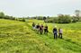 Cotswolds Walking Tour from Stratford-on-Avon or Moreton-in-Marsh
