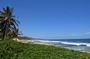 Shore Excursion Explore & Discover Barbados Land & Sea Tour