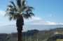 Best Of Messina Shore Excursion: Godfather, Taormina And Isolabella Beach Tour