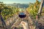Private Lisbon Arrabida Wine Tour: Food & Wines, Mountain and Sea