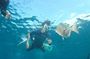 Tulamben Safari Snorkeling Adventure at Coral Garden Private Experience