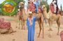 Agadir Camel Ride: Flamingo River, Eucalyptus Forest & Berber Tea