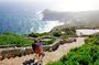 Cape Point and Boulder's Penguins Full Day Tour
