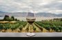 Private Tour to Discover Alentejo Wines