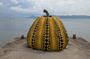 Naoshima Art Island Day Trip from Osaka