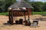 Village Tour Experience (Learn about the Zimbabwe cultures