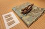 Scents of Samurai, Tour Through Kodo in Nagoya