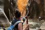 Zion National Park: Private Narrows Hike (gear Included)