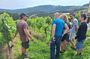 Private Gastronomy tour with tastings from Santander