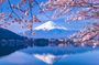 Tokyo: Mt. Fuji, Oshino Hakkai and Gotemba Outlets 1-Day Bus Tour