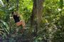 1-Day Amazon Experience from Iquitos | Brisa Tropical