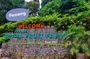 Penang Half Day City Tour Including Tropical Fruit Farm