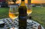 A Twilight Wine Adventure with 3-Course Dinner